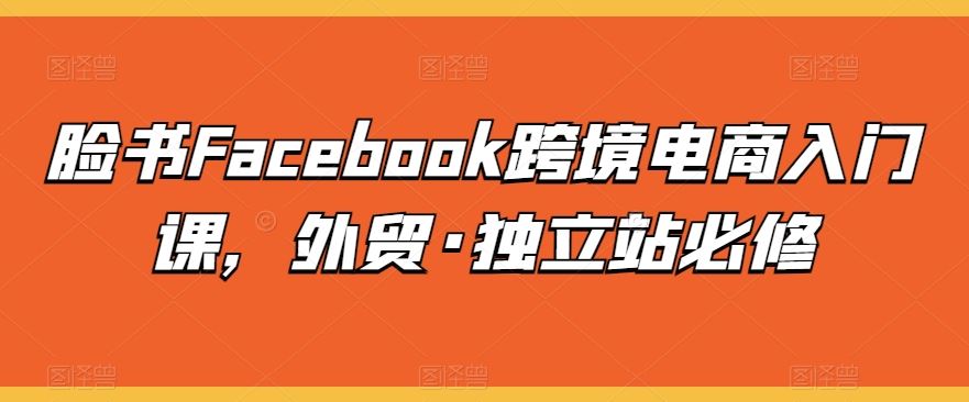 脸书Facebook跨境电商入门课,外贸·独立站必修-来友网创