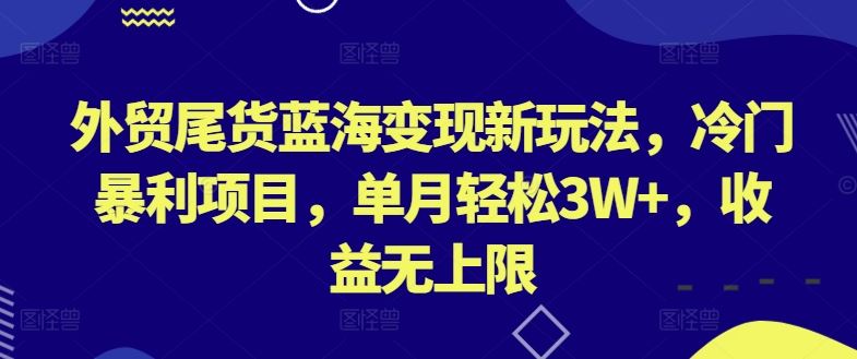 外贸尾货蓝海变现新玩法,冷门暴利项目,单月轻松3W+,收益无上限【揭秘】-来友网创
