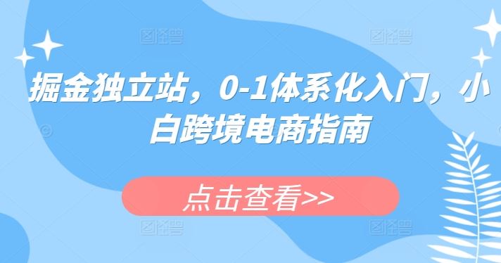 掘金独立站,0-1体系化入门,小白跨境电商指南-来友网创