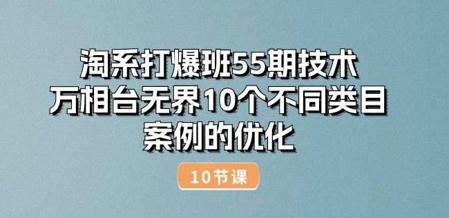 淘系打爆班55期技术:万相台无界10个不同类目案例的优化(10节)-来友网创