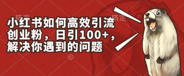 小红书如何高效引流创业粉,日引100+,解决你遇到的问题【揭秘】-来友网创