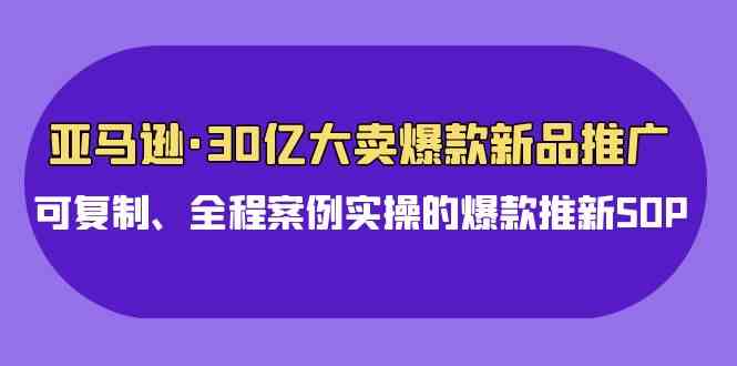 (9944期)亚马逊30亿·大卖爆款新品推广,可复制、全程案例实操的爆款推新SOP-来友网创