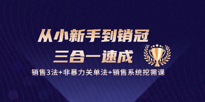 (10799期)从小新手到销冠 三合一速成:销售3法+非暴力关单法+销售系统挖需课 (27节)-来友网创