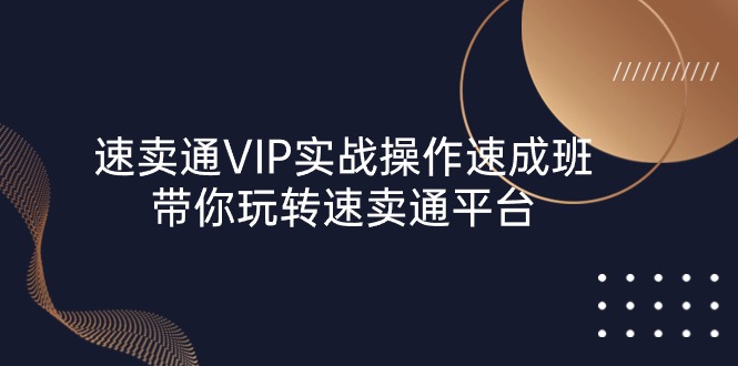 (10935期)速卖通 VIP实战操作-速成班,带你玩转速卖通平台(23节)-来友网创