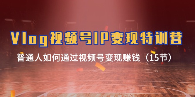 Vlog视频号IP变现特训营,普通人如何通过视频号变现赚钱(15节)-来友网创