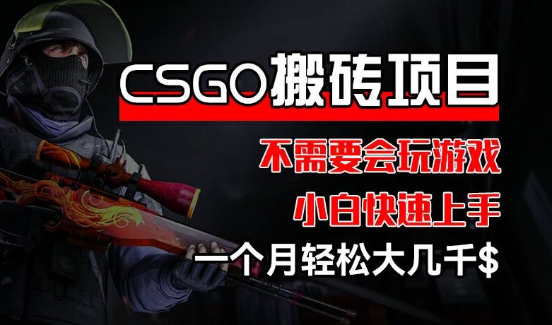 CSGO 装备搬砖项目,操作简单,不需要会玩游戏,小白也能快速上手,一个月轻松大几千【揭秘】-来友网创