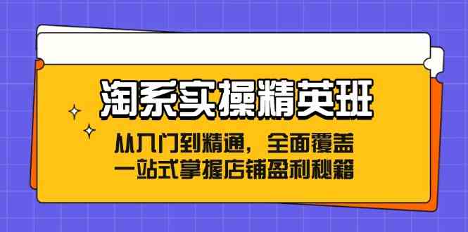 淘系实操精英班:从入门到精通,全面覆盖,一站式掌握店铺盈利秘籍-来友网创