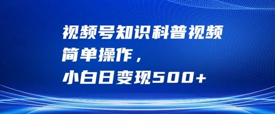 视频号知识科普视频,简单操作,小白日变现500+【揭秘】-来友网创