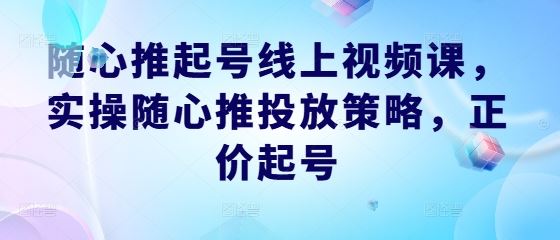 随心推起号线上视频课,实操随心推投放策略,正价起号-来友网创