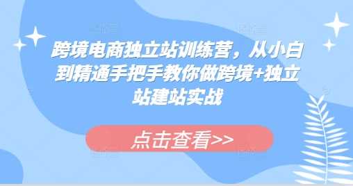 跨境电商独立站训练营,从小白到精通手把手教你做跨境+独立站建站实战-来友网创