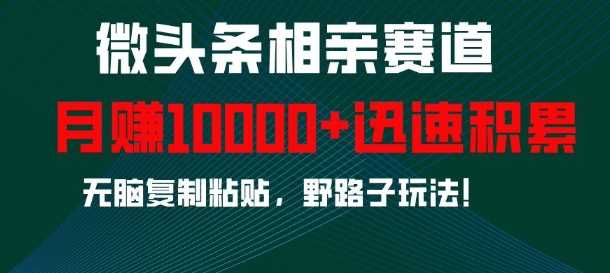 微头条相亲赛道,迅速积累,无脑复制粘贴,野路子玩法,月入1w-来友网创