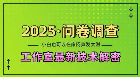 2025问卷调查最新工作室技术解密:一个人在家也可以闷声发大财,小白一天2张,可矩阵放大【揭秘】-来友网创