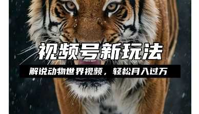 利用动物世界解说视频,赚分成计划收益,轻松月入过W,操作简单【揭秘】-来友网创