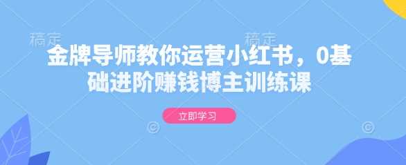 金牌导师教你运营小红书,0基础进阶赚钱博主训练课-来友网创