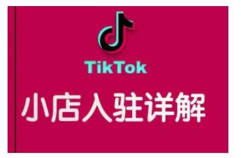 TikTok跨境小店运营全攻略,帮助你独立运营TK跨境小店的能力,实现销量增长-来友网创