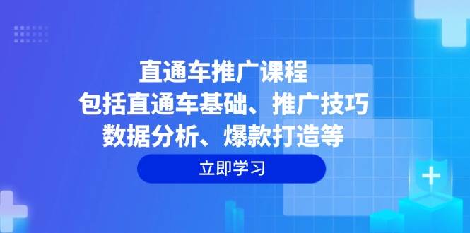 (14001期)直通车推广课程:包括直通车基础、推广技巧、数据分析、爆款打造等-来友网创