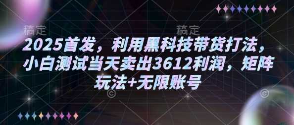 2025首发,利用黑科技带货打法,小白测试当天卖出3612利润,矩阵玩法+无限账号【揭秘】-来友网创