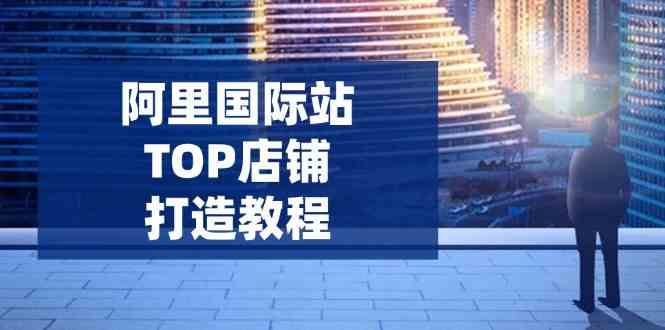 阿里国际站TOP店铺打造教程:涵盖平台到高阶,解决运营难题,提升询盘-来友网创