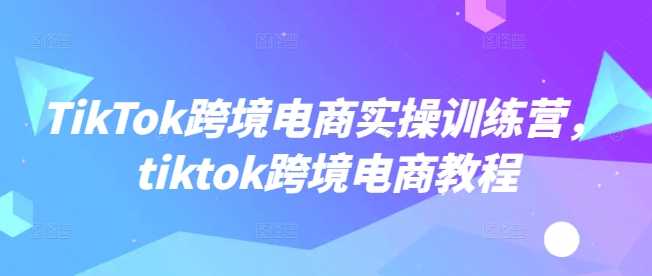 TikTok跨境电商实操训练营,tiktok跨境电商教程-来友网创