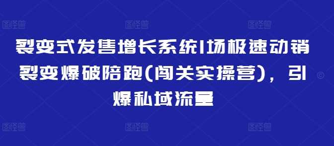 裂变式发售增长系统1场极速动销裂变爆破陪跑(闯关实操营),引爆私域流量-来友网创