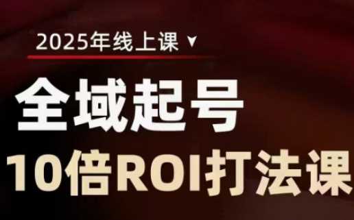 2025全域起号10倍ROI打法课,助你提升直播间的投资回报率-来友网创