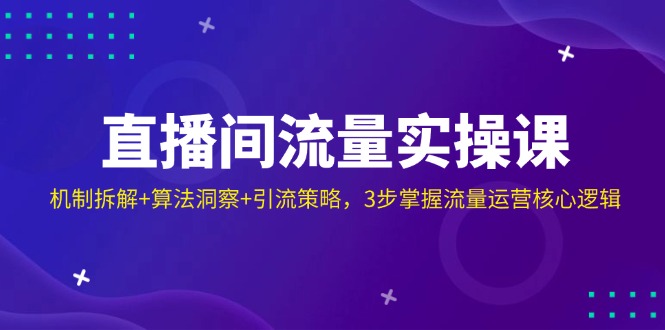 (14122期)直播间流量实操课:机制拆解+算法洞察+引流策略,3步掌握流量运营核心逻辑-来友网创