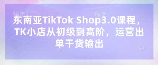 东南亚TikTok Shop3.0课程,TK小店从初级到高阶,运营出单干货输出-来友网创
