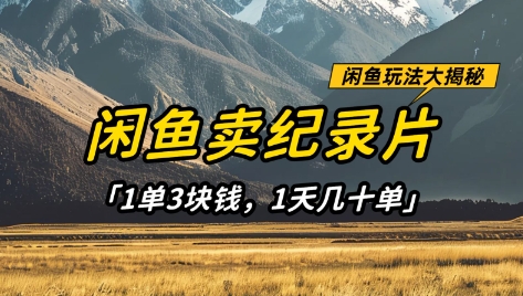 闲鱼卖纪录片1单3块钱,1天几十单,项目稳定有潜力-来友网创