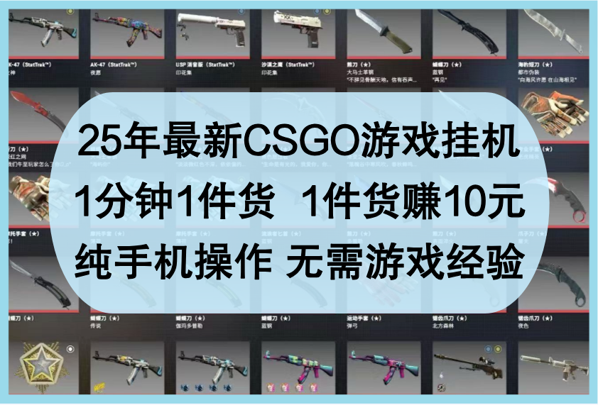 25年最新CSGO游戏挂机,1分钟1件货,1件货赚10元,纯手机操作,无需游戏经验-来友网创