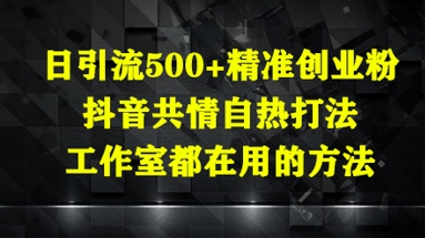 日引流500+精准创业粉,抖音共情自热打法,工作室都在用的方法-来友网创