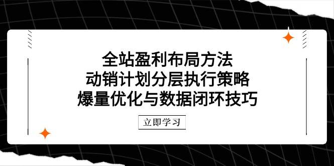 (14698期)全站盈利布局方法:动销计划分层执行策略,爆量优化与数据闭环技巧-来友网创