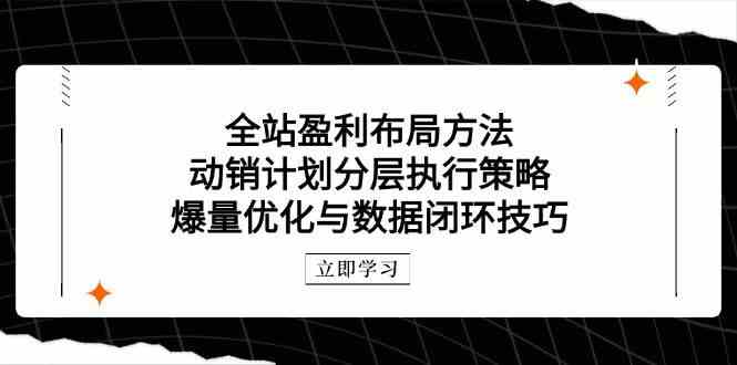 全站盈利布局方法:动销计划分层执行策略,爆量优化与数据闭环技巧-来友网创