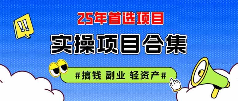 (14767期)2025实操项目合集 挂机类型 直播类型 轻资产创业类型 课程分享各项目介…-来友网创