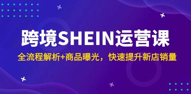 (14832期)跨境SHEIN运营课,全流程解析+商品曝光,快速提升新店销量-来友网创