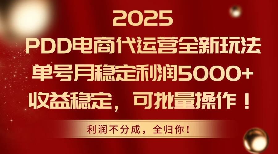 (14839期)2025PDD电商代运营全新玩法,单号月稳定利润5000+,收益稳定,可批量操作-来友网创