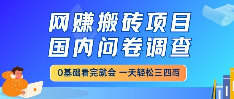 网创搬砖项目,国内问卷调查,小白轻松上手,一天三四张的也不难,干就完了【揭秘】-来友网创