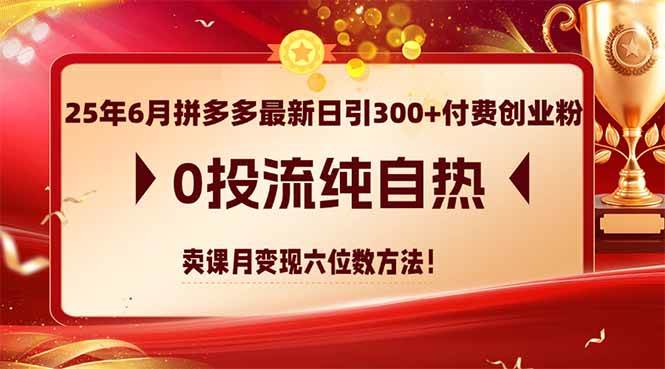 (14989期)25年6月拼多多最新日引300+付费创业粉,0投流纯自热 卖课月变现六位数方法-来友网创