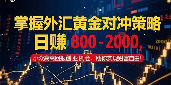 (15198期)掌握外汇黄金对冲策略,日赚 800 – 2000,小众高回报创业机会,助你实…-来友网创