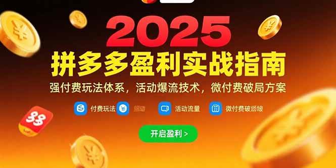 (15357期)拼多多盈利实战指南,强付费玩法,活动爆流技术,微付费破局方案(更新7月)-来友网创