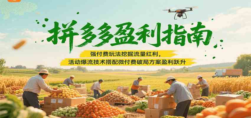 拼多多盈利指南:强付费玩法挖掘流量红利,活动爆流技术搭配微付费方案实现盈利跃升-来友网创