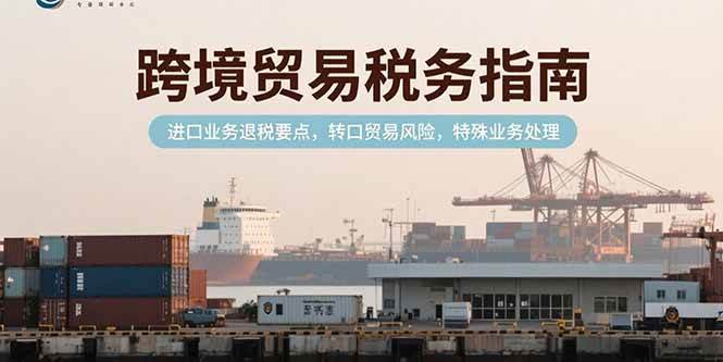 (15381期)跨境贸易税务指南,进口业务退税要点,转口贸易风险,特殊业务处理-来友网创