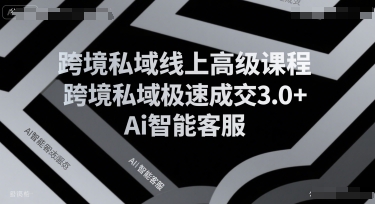 跨境私域线上高级课程,跨境私域极速成交3.0+Ai智能客服-来友网创