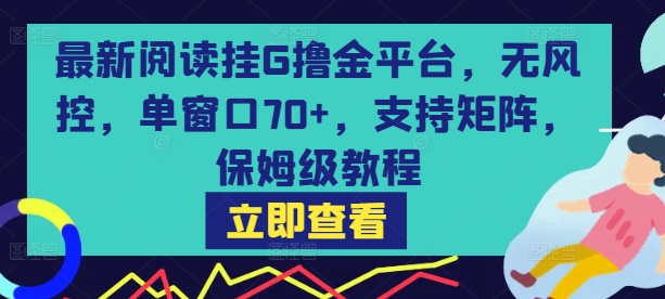 最新阅读挂G撸金平台,无风控,单窗口70+,支持矩阵,保姆级教程【揭秘】-来友网创