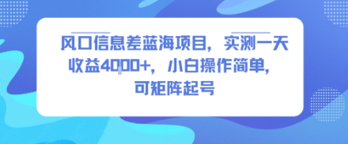 风口信息差蓝海项目,实测一天收益4k+,小白操作简单,可矩阵起号-来友网创