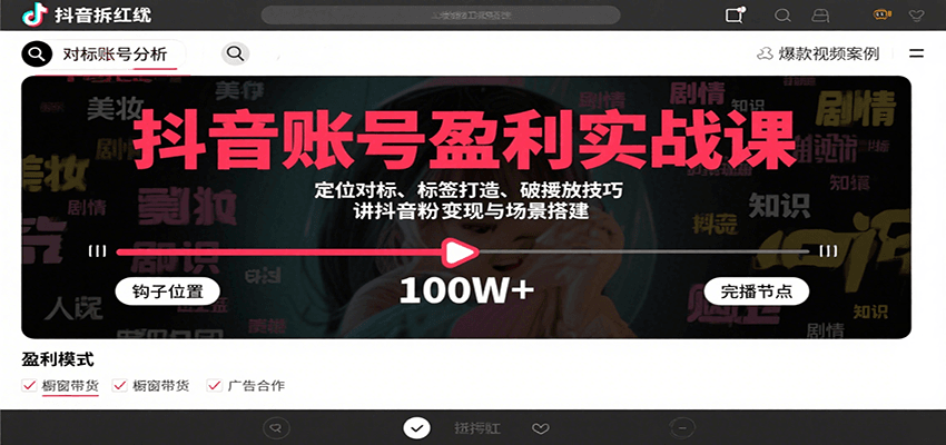 抖音账号盈利实战课,定位对标、标签打造、破播放技巧,讲涨粉变现与场景搭建-来友网创