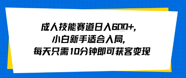 成人技能赛道日入多张,小白新手适合入局,每天只需10分钟即可获客变现-来友网创