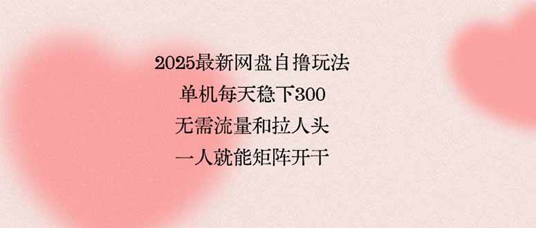 (15831期)2025最新网盘自撸玩法,单机每天稳下3张,无需流量和拉人头,一个人就…-来友网创