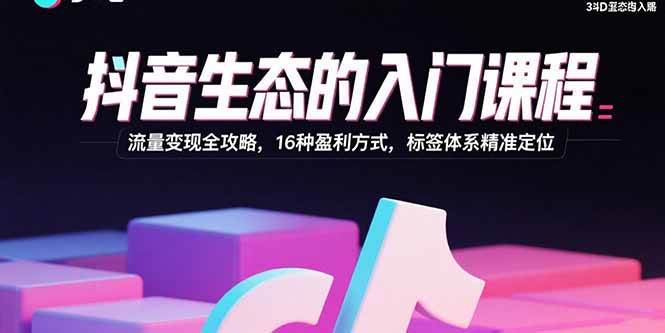 (15856期)抖音生态的入门课程:流量变现全攻略,16种盈利方式,标签体系精准定位-来友网创
