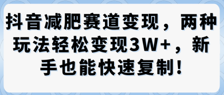 抖音减肥赛道变现,两种玩法轻松变现3W+,新手也能快速复制-来友网创