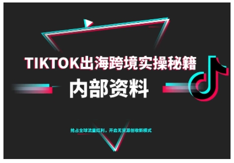 TikTok跨境电商0-1搭建运营,TK出海跨境实操秘籍(10月更新)-来友网创